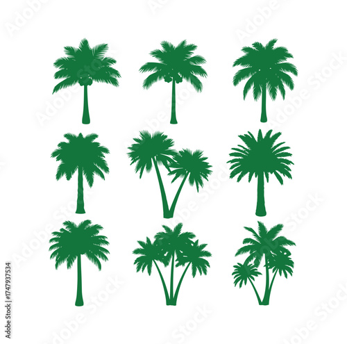 Collection of green silhouettes of tropical palm trees. Concept of summer vacation. Vector graphic isolated on white.