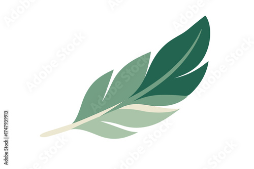 Stylized green feather with layered shapes and natural color palette on white background