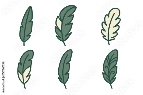 Collection of six stylized bird feathers in various shapes and earthy colors isolated on white