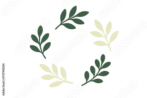 Stylized circular arrangement of simple botanical branches with dark green and cream leaves on white background