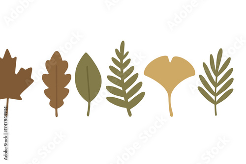 Stylized row of diverse autumn leaves in earthy brown and green colors on white background
