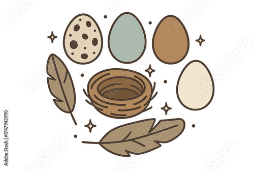 Bird eggs in various colors and patterns surrounding an empty nest with feathers