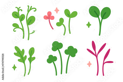 Colorful collection of microgreens and sprouts for healthy eating and organic food