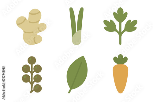 Assortment of fresh culinary herbs, spices, and root vegetables for cooking