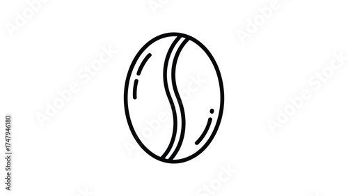 Simple hand drawn outline of a single coffee bean with a central crease