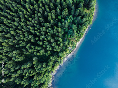 Aerial View of a Blue Lake with Spruce Forest and Chalky Shore
