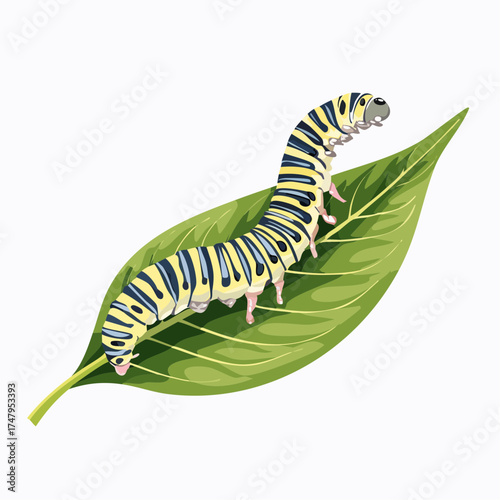 Monarch Caterpillar on a Leaf Vibrant Detailed Vector Illustration