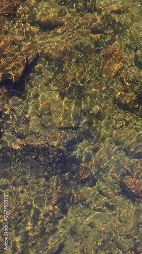Vertical video of clear mountain stream. Water running over stones on bottom. Natural background. Top down view.