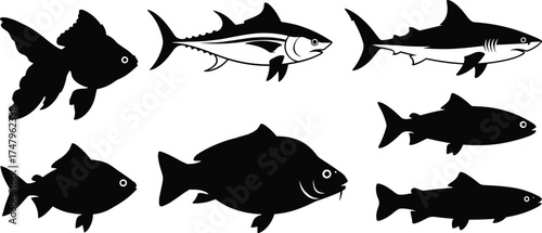 fish silhouette, goldfish, tuna, shark, piranha, catfish, trout, aquatic species, marine life, bold contrast, flat vector illustration