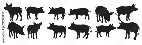 pig silhouette set of different pig silhouettes illustration