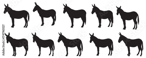 mule silhouette white background vector illustration