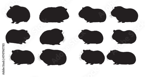 guinea pig silhouette white background 