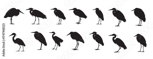 heron bird silhouette white background 