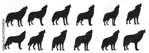 howling wolf silhouette vector illustration