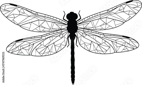 Elegant dragonfly illustration with intricate wing patterns, a delicate and detailed design showcasing beauty of natures insect