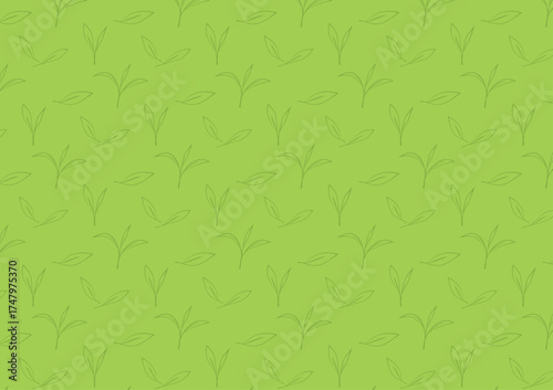 Green tea pattern wallpaper. Green tea doodle vector. Matcha pattern.