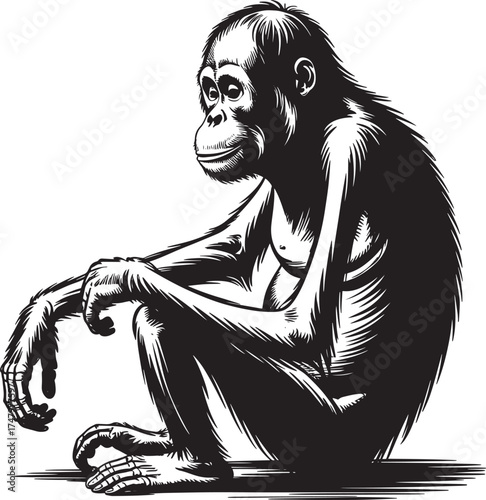 Orangutan Sitting Silhouette with Skeleton Overlay Engraving Style Illustration