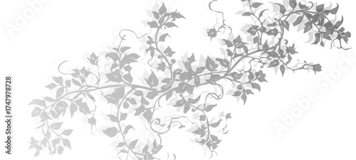 black and white background