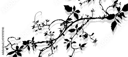 black and white background
