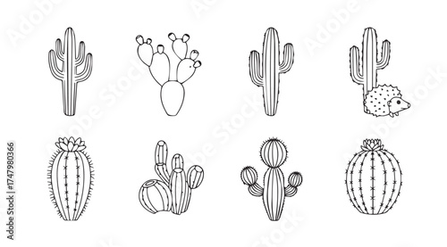 Collection of hand drawn line art cacti and succulents for desert themed designs vector