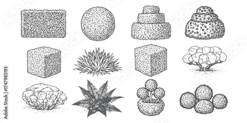 CAD Drawings. Set of bush and shrub.hedge, round shrub, layered bush, flowering bush, trimmed cube bush, spreading plant, desert shrub, fern bush, topiary, and cluster shrubs. Vector illustration.