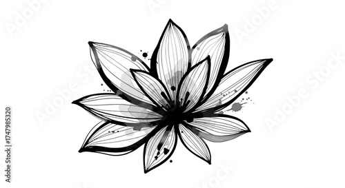 A stylized lotus flower illustration in black and white with delicate lines and ink splatter details.