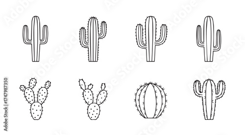 Collection of hand-drawn desert cactus silhouettes simple outline various species for artistic projects vector