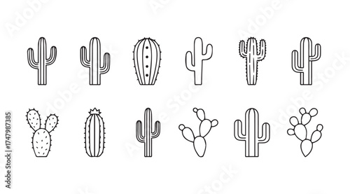Hand drawn cactus variety collection desert plants organic shapes line art decorative elements vector