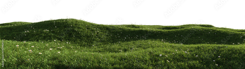 Fototapeta premium 3d render of a green grass field with chamomile flowers, isolated over transparent background, PNG cut-out
