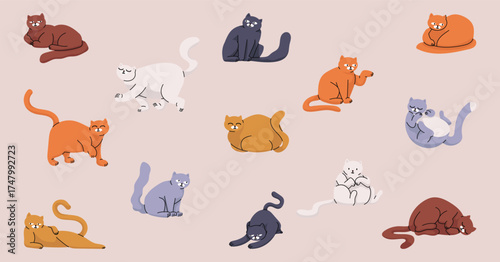 Set Of Flat Funny Cat