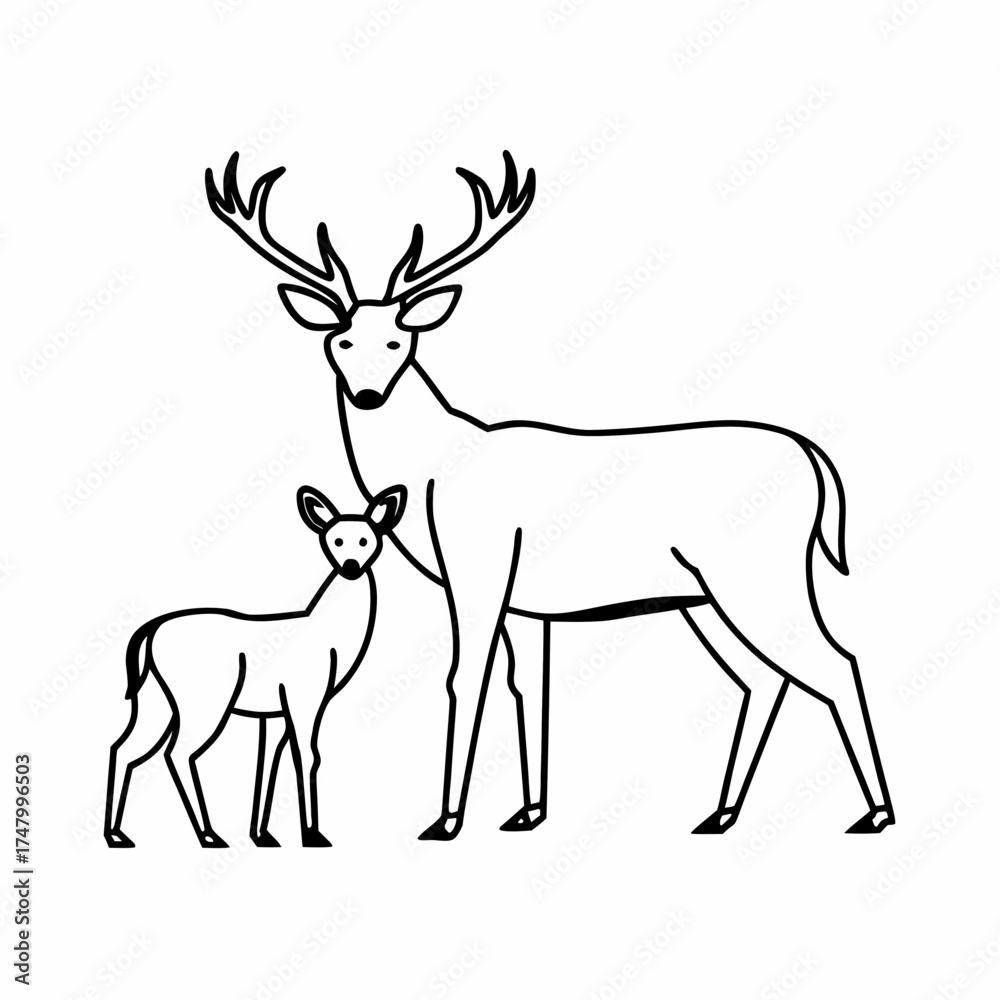 Obraz premium A deer and its cub look around in alarm, in the style of a minimalistic linear black-and-white vector drawing