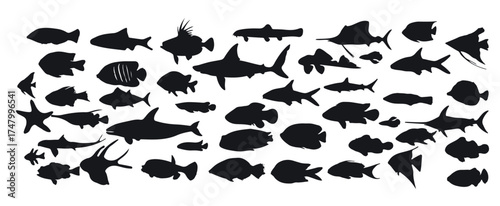 large collection of aquatic life vectors fish silhouette