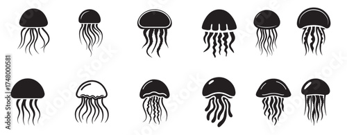 jellyfish silhouette white background