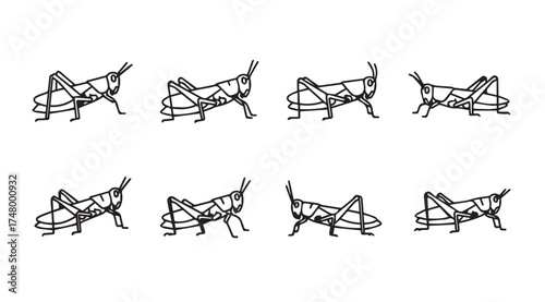 Eight dynamic gestural drawings of grasshoppers in motion sequences animated for nature study vector