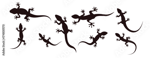 lizard silhouette with many options gecko crawling