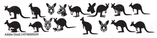  kangaroo silhouette white background
