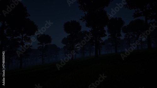 Scary natural foggy night forest 4k
