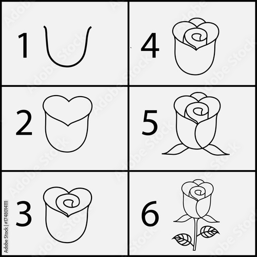 Step-by-step rose drawing tutorial in minimalist line art style. Educational vector showing how to draw a rose flower from simple shapes to complete illustration.