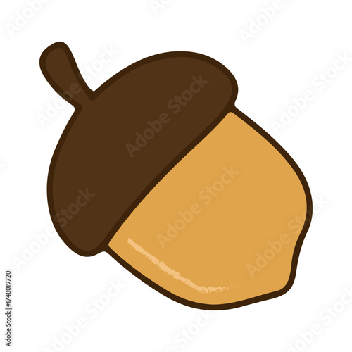Illustration of an acorn with a brown cap and a tan body, outlined in a darker brown. Flat colors and a clean outline
