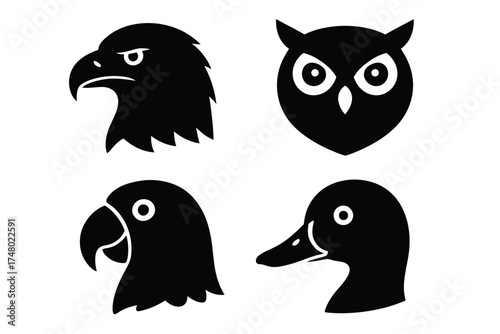 Silhouette icons of eagle, owl, parrot, and duck in black on white background