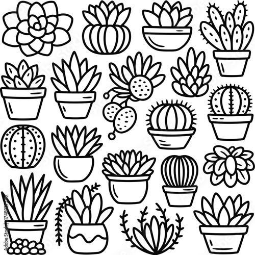 Collection of Potted Succulent Plants and Cacti Line Art Vector Illustrations