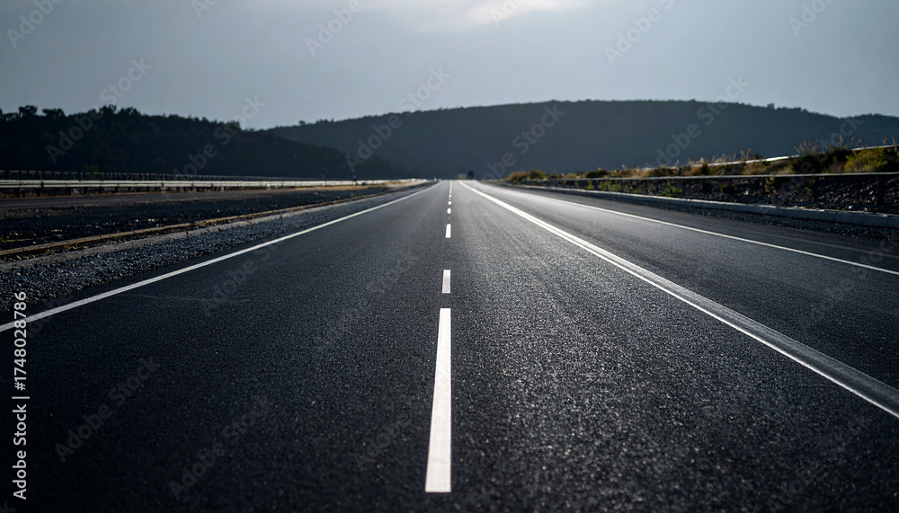 Fototapeta premium road in the forest