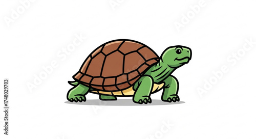 Cartoon turtle, a charming illustration of a reptile with a brown shell and green skin, perfect for childrens books and educational materials