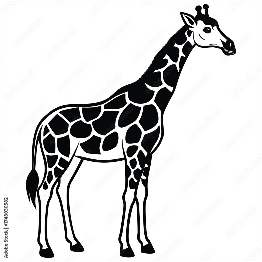 Obraz premium black and white giraffe vector illustration,Giraffe Silhouette Vector,African Wildlife Illustration, Elegant Animal Design in Black and White,giraffe vector,giraffe design, giraffe concept, giraffe