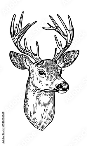 In black and white, the silhouette of a deer with large antlers creates a design that is both bold and elegant