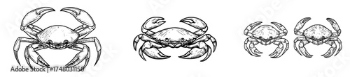 The distinctive shape and claws of a crab are visible in its black silhouette, set against a contrasting white background