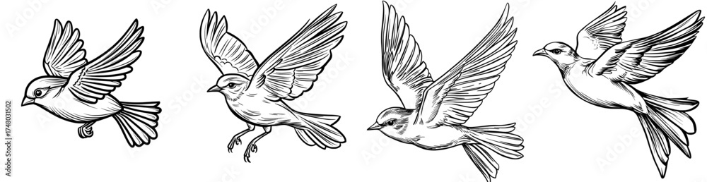 Obraz premium An elegant bird silhouette in flight is ideal for nature-themed designs and decorations