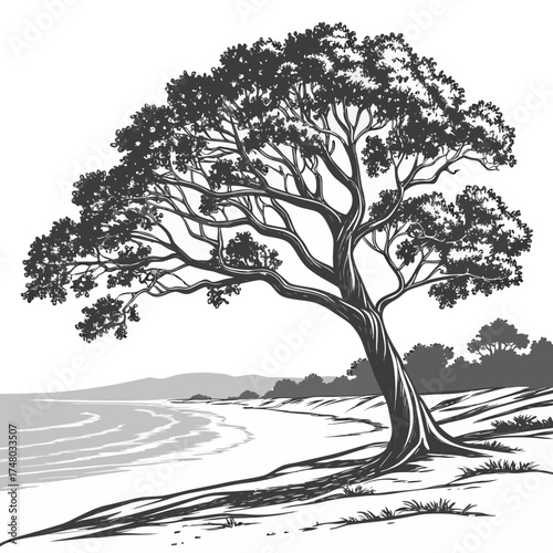 Elegant solitary tree with sprawling branches stands on a sandy shore overlooking calm water and distant hills