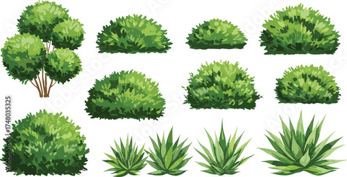 Green garden bushes, shrubs and tropical plants collection isolated on white background, landscaping foliage set, cad drawing flat vector illustration