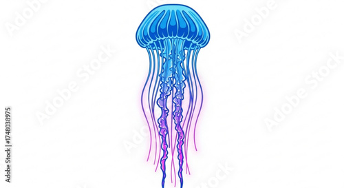 Elegant jellyfish with flowing tentacles, a mesmerizing marine creature with vibrant blue and pink hues in a captivating design